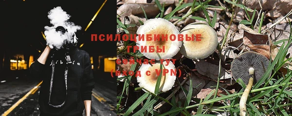 твердый Алзамай