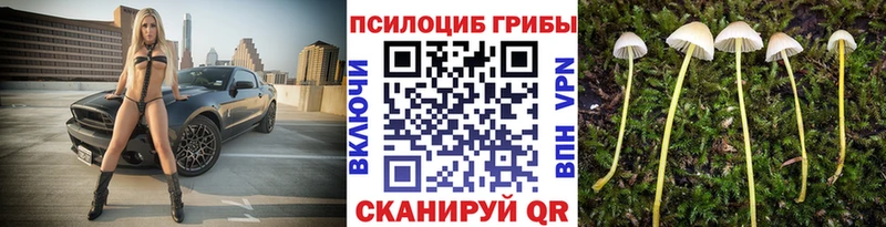 Купить где  Минусинск  Галлюциногенные грибы Psilocybe 